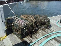 Our Catch