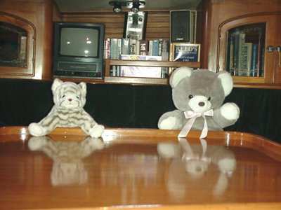 definately in port too long-invited stuffed animals to dinner