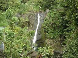 Grenada Waterfalls