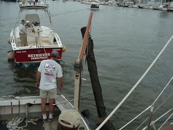 1 of 4 pilings