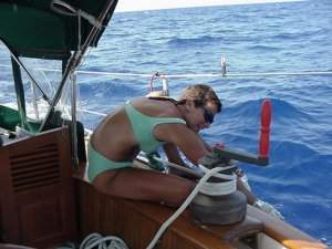 Reeling in 3.5 ft. dolphin